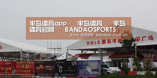 案例标题十