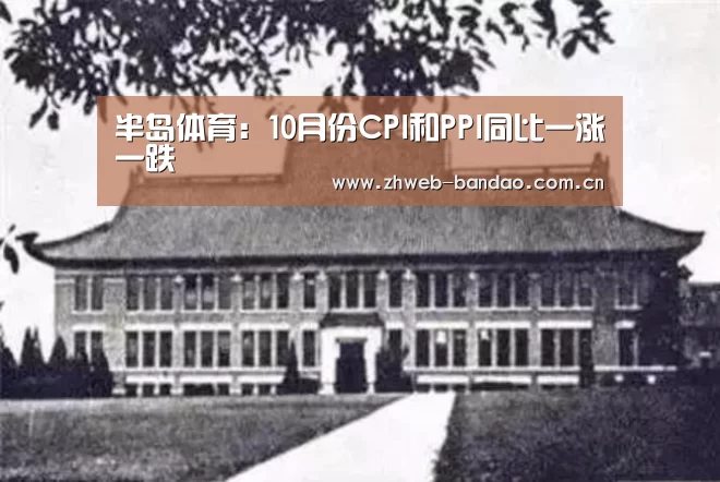 半岛体育:10月份CPI和PPI同比一涨一跌(图3) 半岛体育APP